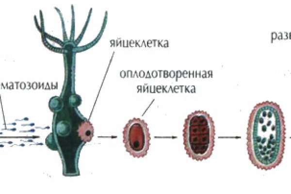 Купить наркотики онлайн