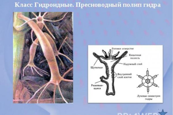 Кракен ссылка новая