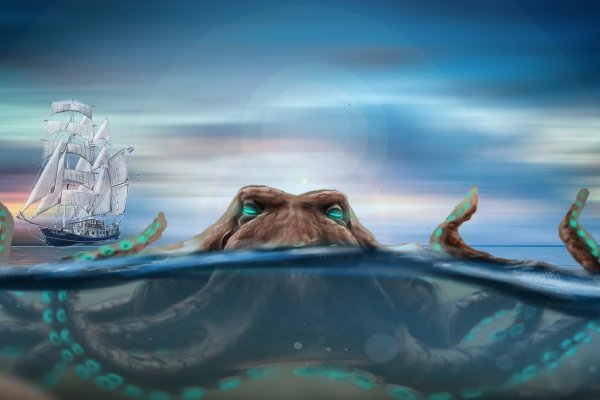 Kraken 14 at